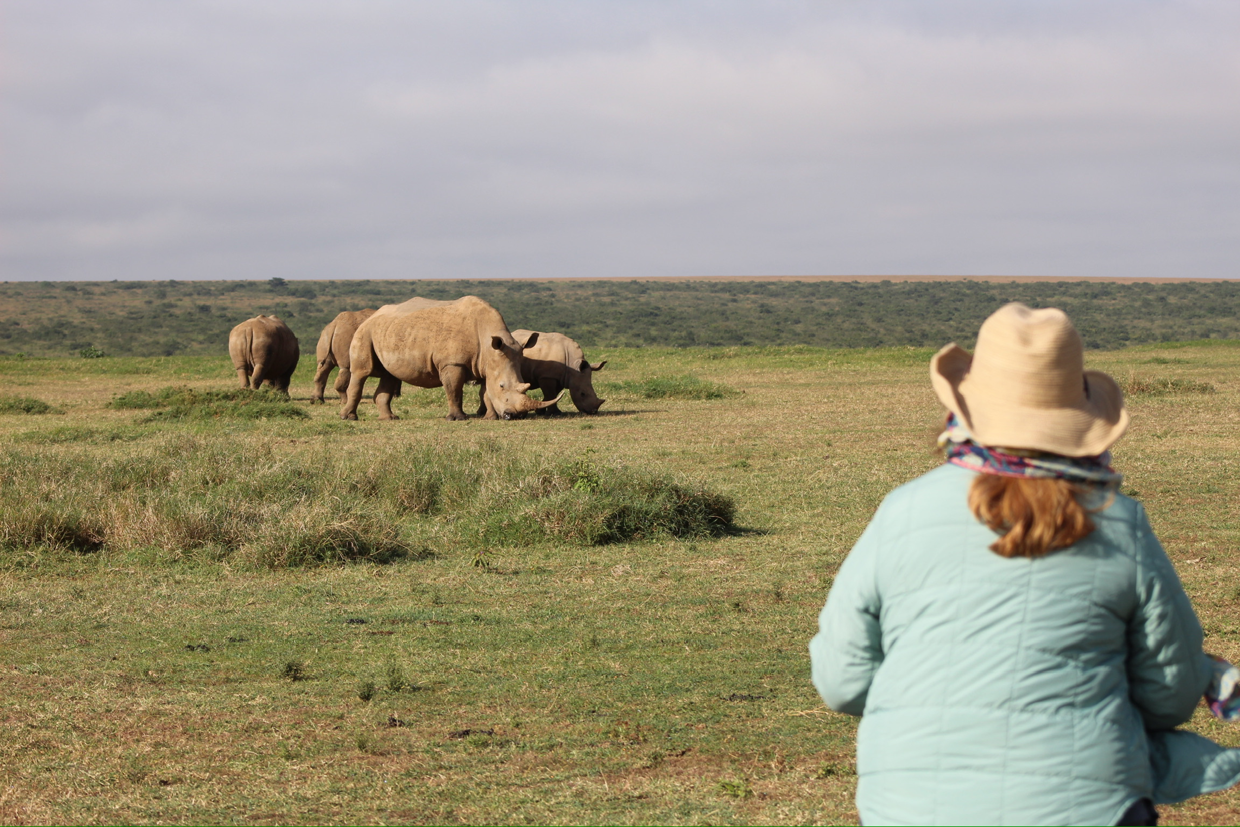 Discovering Kenya: an Exploration of East Africa’s Wild & Wonderful